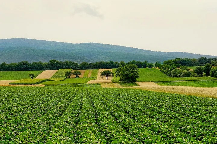 Say “No” to the climate crisis And “Yes!” to sustainable land practices and 7.5% per year in your pocket