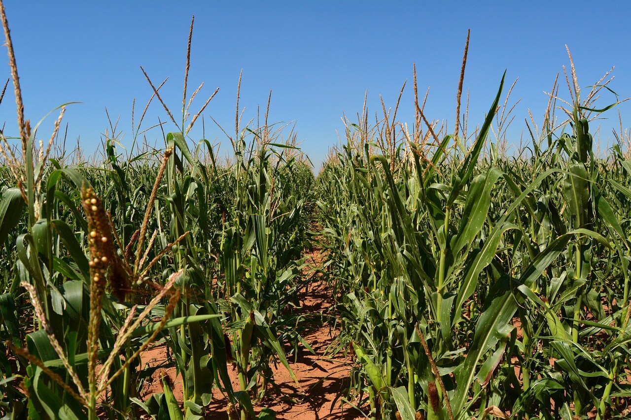 Australia: Cleaner Crops = Better Returns: Quantum2 Land Units combat pesticides and pollution while providing a 7.5% return per year